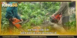Mơ thấy chặt cây – Điềm báo và con số trúng lô