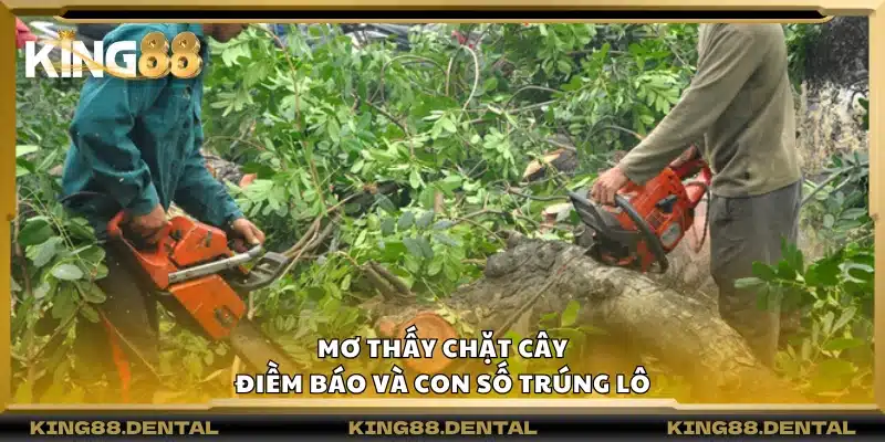 Mơ thấy chặt cây – Điềm báo và con số trúng lô