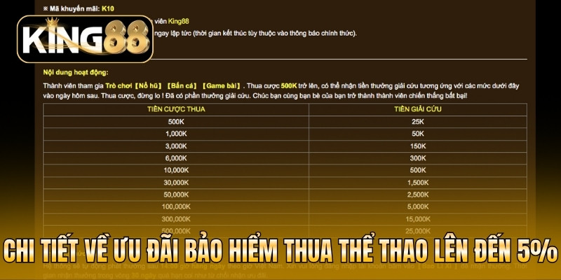 Chi tiết về ưu đãi bảo hiểm thua thể thao lên đến 5%