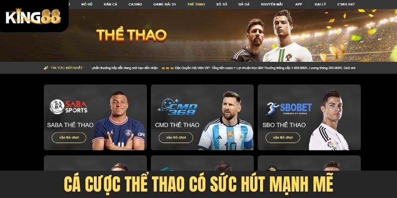 Cá cược thể thao có sức hút mạnh mẽ