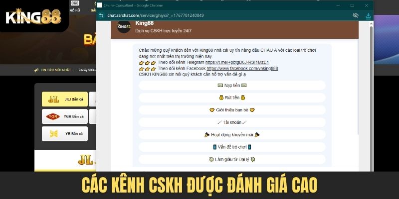 Các kênh CSKH được đánh giá cao